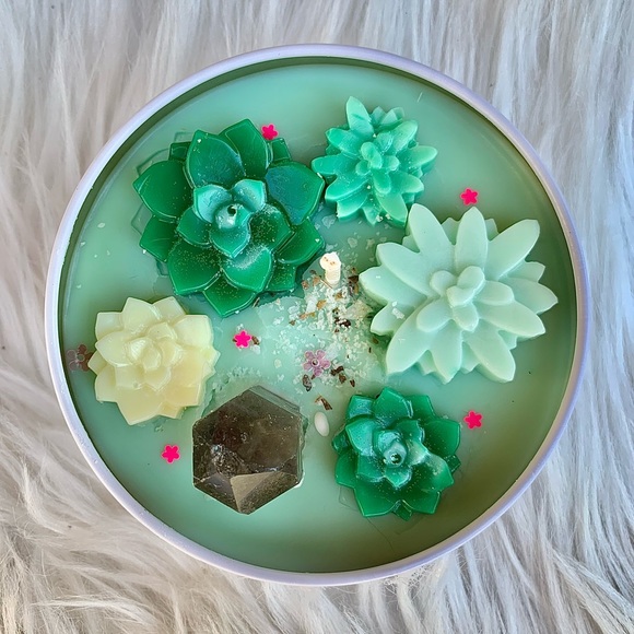 Succulent Garden Terrarium Candle with Smokey Quartz Crystal - Picture 2 of 8